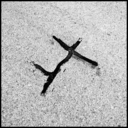 ID: 011961