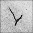 ID: 011962