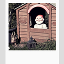 ID: 012170