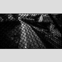 ID: 012960