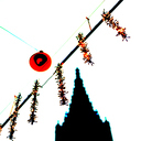 ID: 012986