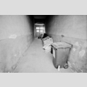 ID: 013201