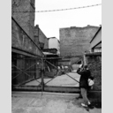 ID: 013219