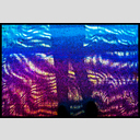 ID: 005473