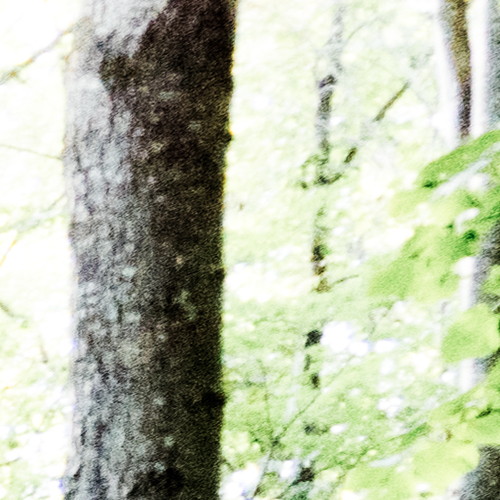 NE Area