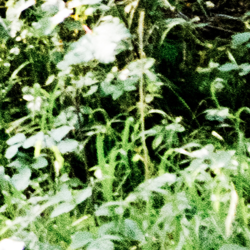 SE Area