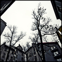 ID: 012846