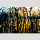 ID: 014453